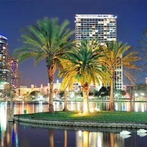 Artist Consultation - Florida